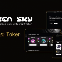 TokenSky -Full Erc20 Token NFT Marketplace Next js and Solidity