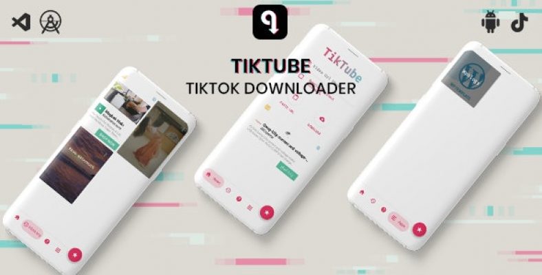 Tiktube Tiktok video downloader