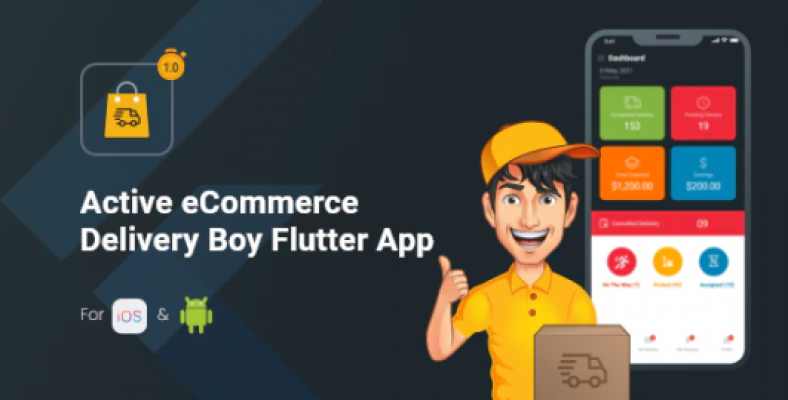 eCommerce Delivery Boy